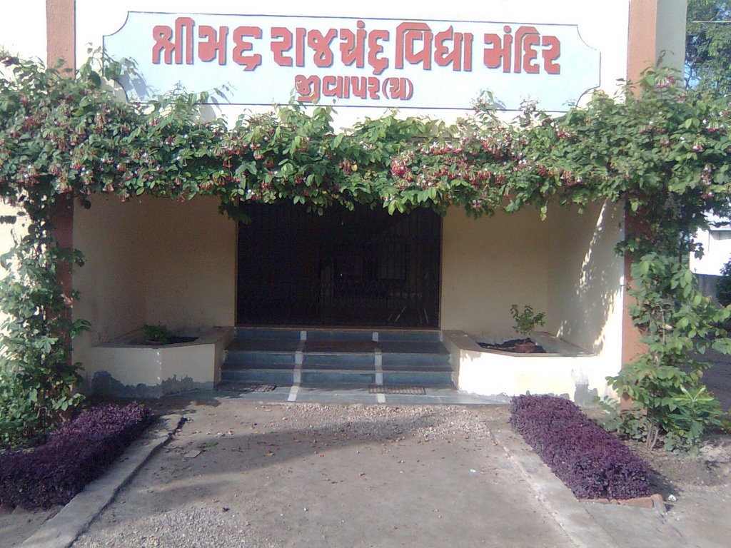 Heigh School of Jivapar(Chakampar), Морви