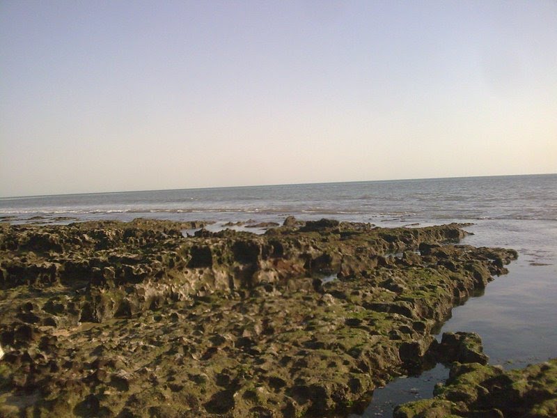 Rocky Beach Of Porbandar Photo By Raju Odedra Mo. 7698787895, Порбандар