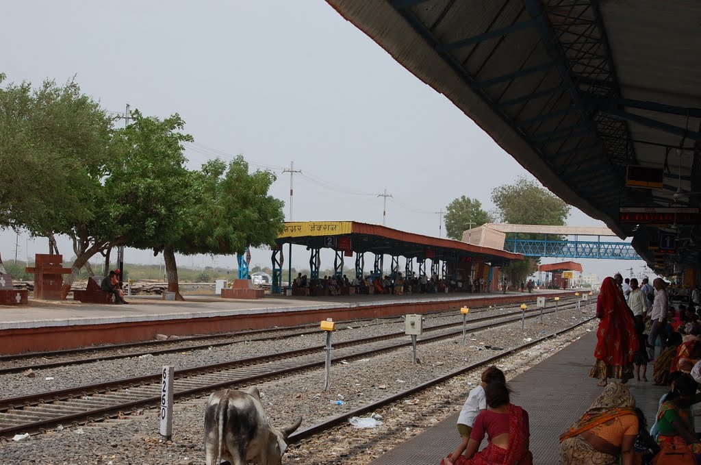 DPAK MALHOTRA, Surendernagar Railway Stn, Surendernagar, गुजरात भारत Gujarat Bharat ગુજરાત ભારત દેશનું, Сурендранагар