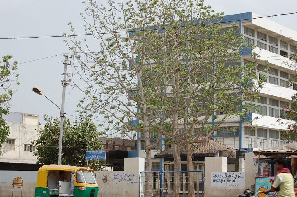 DPAK MALHOTRA, Meditation Traing Centre, Surendernagar, गुजरात भारत Gujarat Bharat ગુજરાત ભારત દેશનું, Сурендранагар