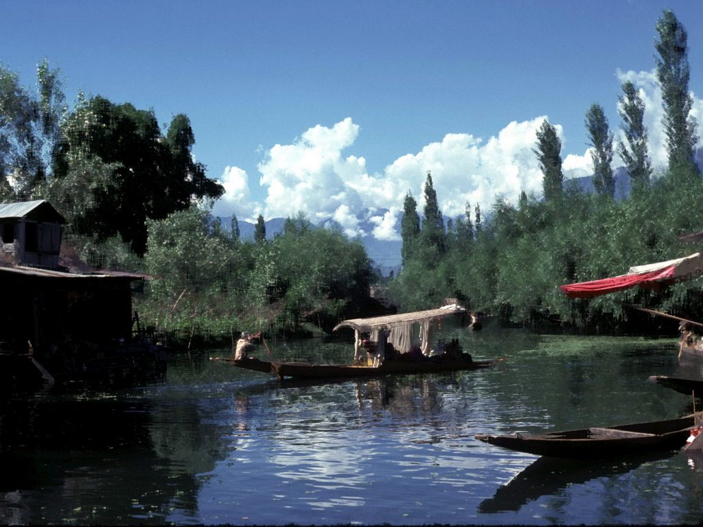 Lake Naggin, Srinagar, Сринагар