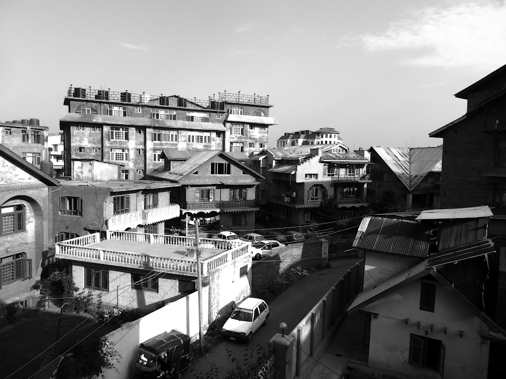 View from Hotel Chinar Groove, in B&W: Srinagar, Kashmir Valley, Jammu & Kashmir, Сринагар