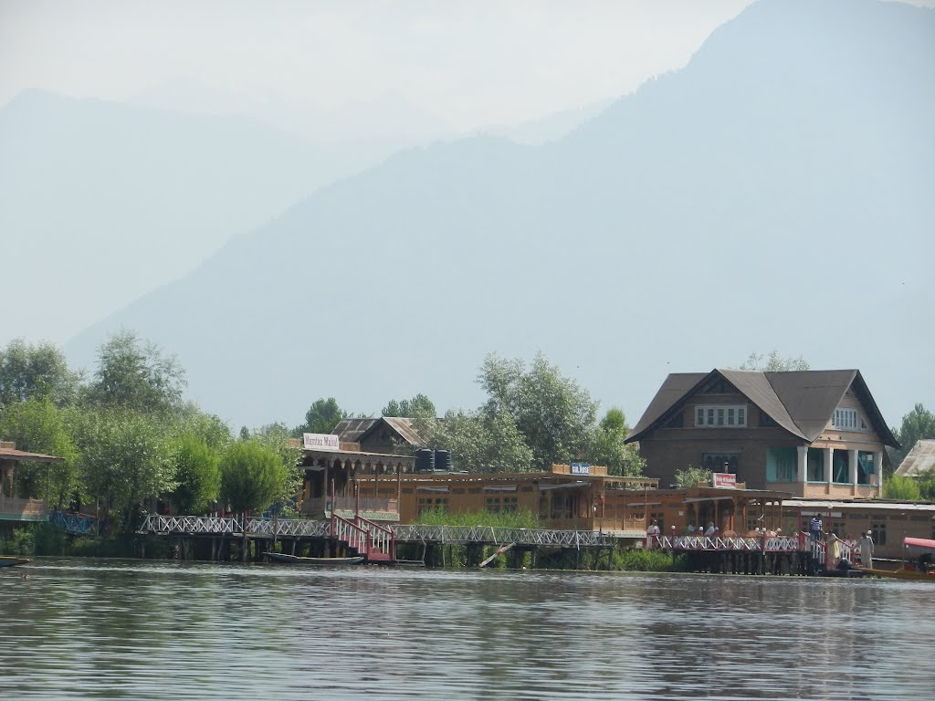 A shot from a Shikara Boat on Dal Lake: Srinagar, Kashmir Valley, Jammu & Kashmir, Сринагар