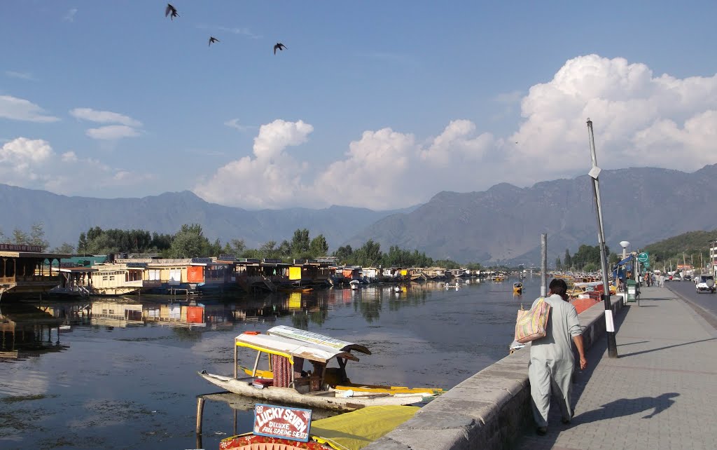 Dal Lake Srinagar, Сринагар