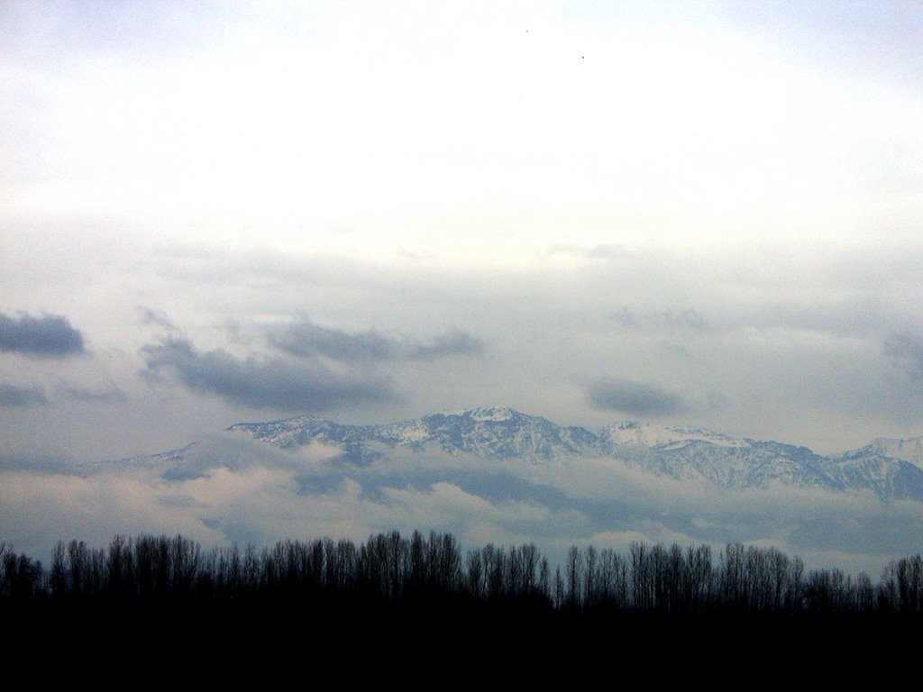 India Kashmir Srinagar - Karakoram, Сринагар
