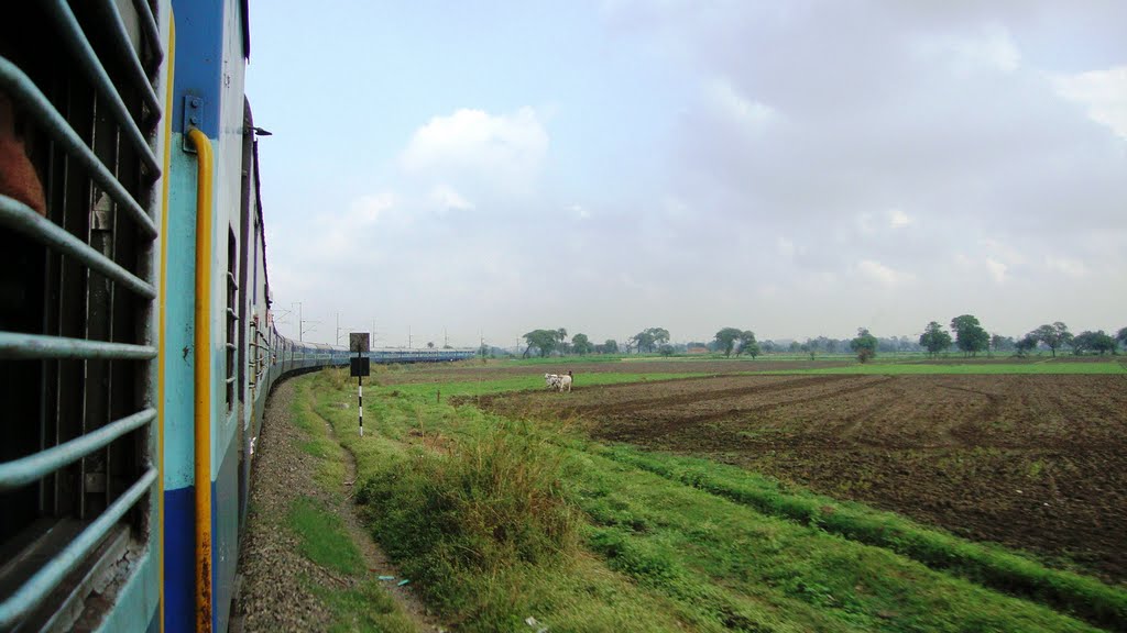 DSC08011 a curved rail line 11.49.45, Кхандва