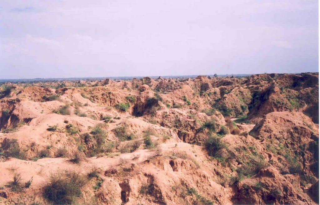 Bad Lands of Chambal River, Мау