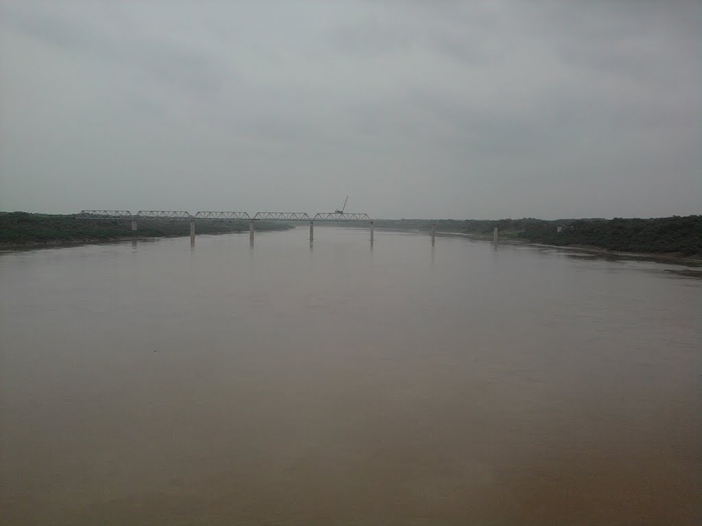 Etawah-Guna Railway line bridge on Chambal river (under construction), Мау