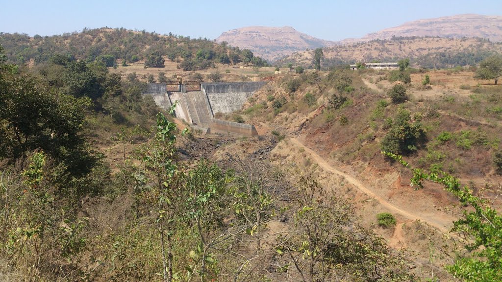 Large Concrete Dam Purushwadi, Акола