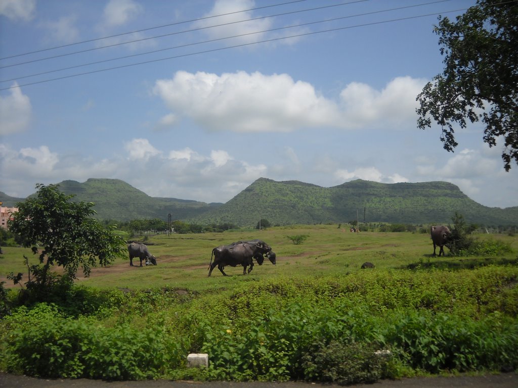 Maharastra countryside, Амальнер