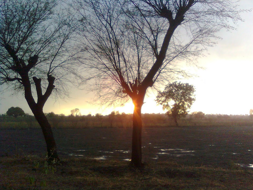 Sun behind the tree. वळीवाच्या नंतर सूर्यदर्शन, Ахалпур
