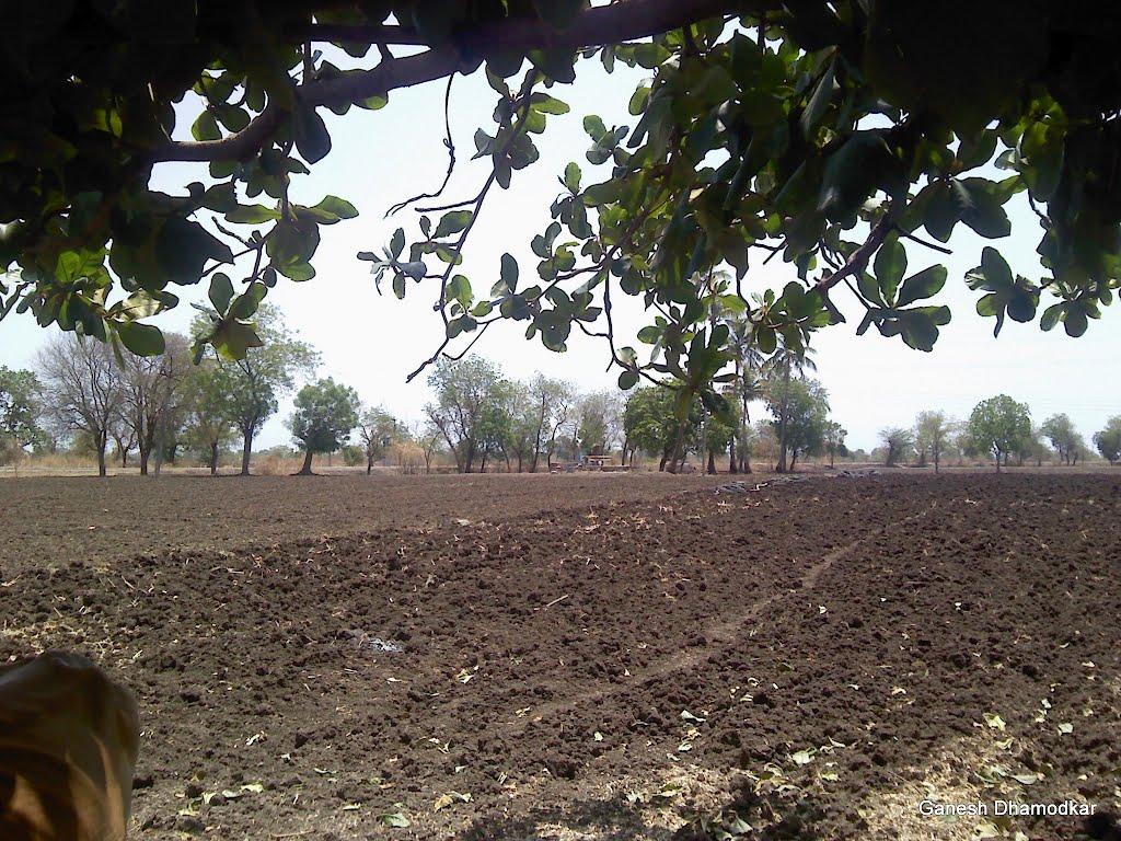 A farm in Hingna Balapur (New), Малегаон