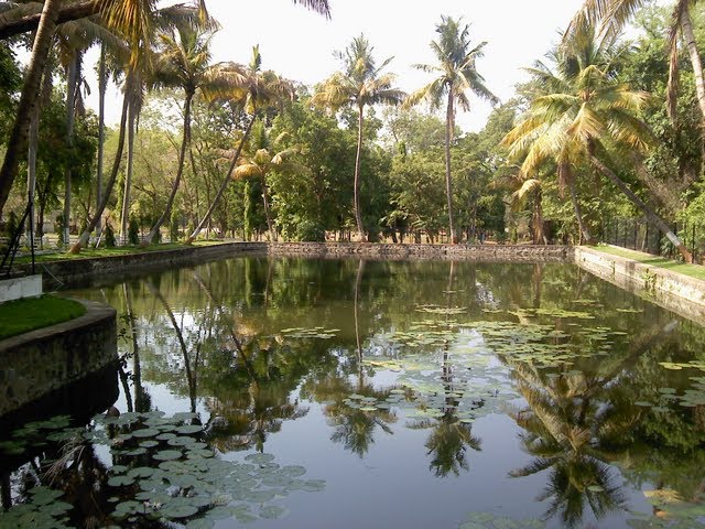 Scenery at Grotto of Mother Lourdes, Nagpur, Нагпур