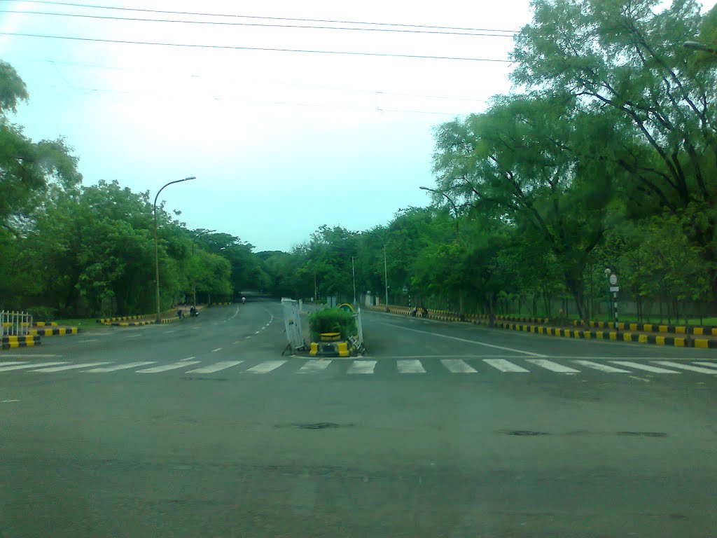 Tree lined road near Seminery Hills, Nagpur, Maharashtra, Нагпур