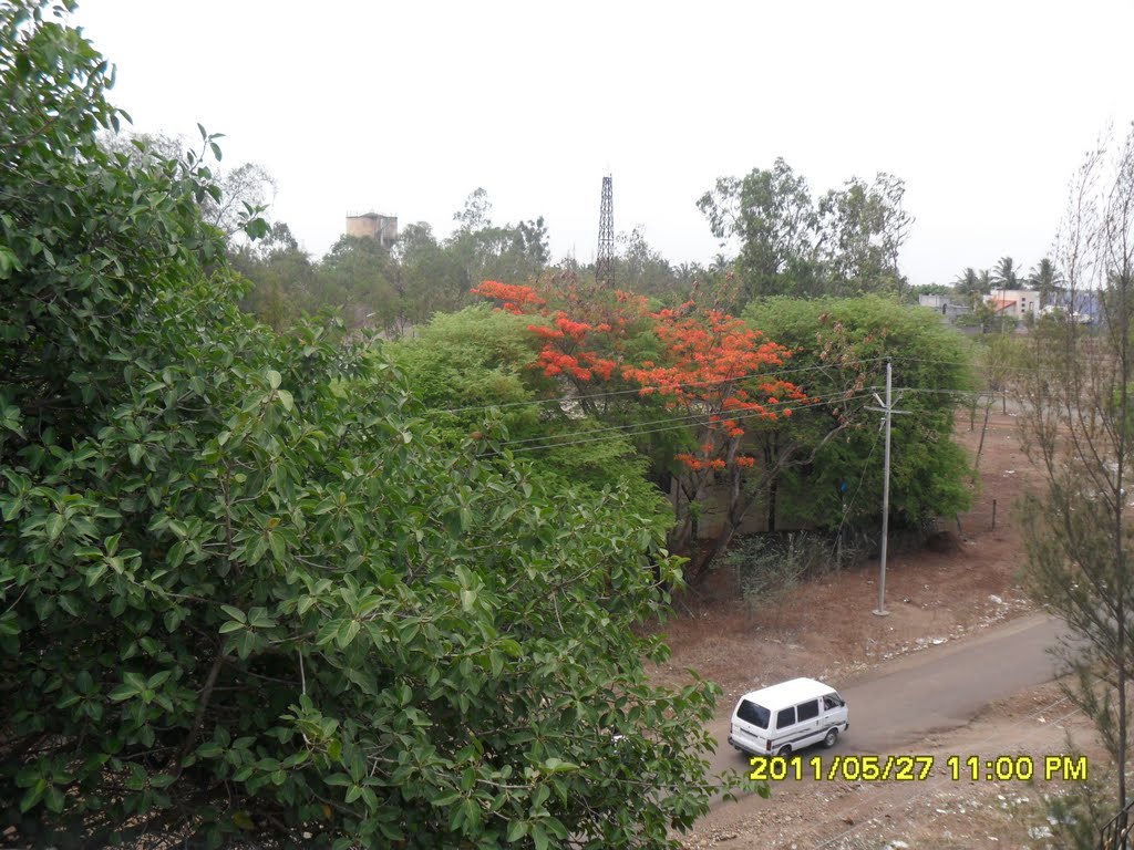 Irrigation Office area 3, Warnali, Сангли