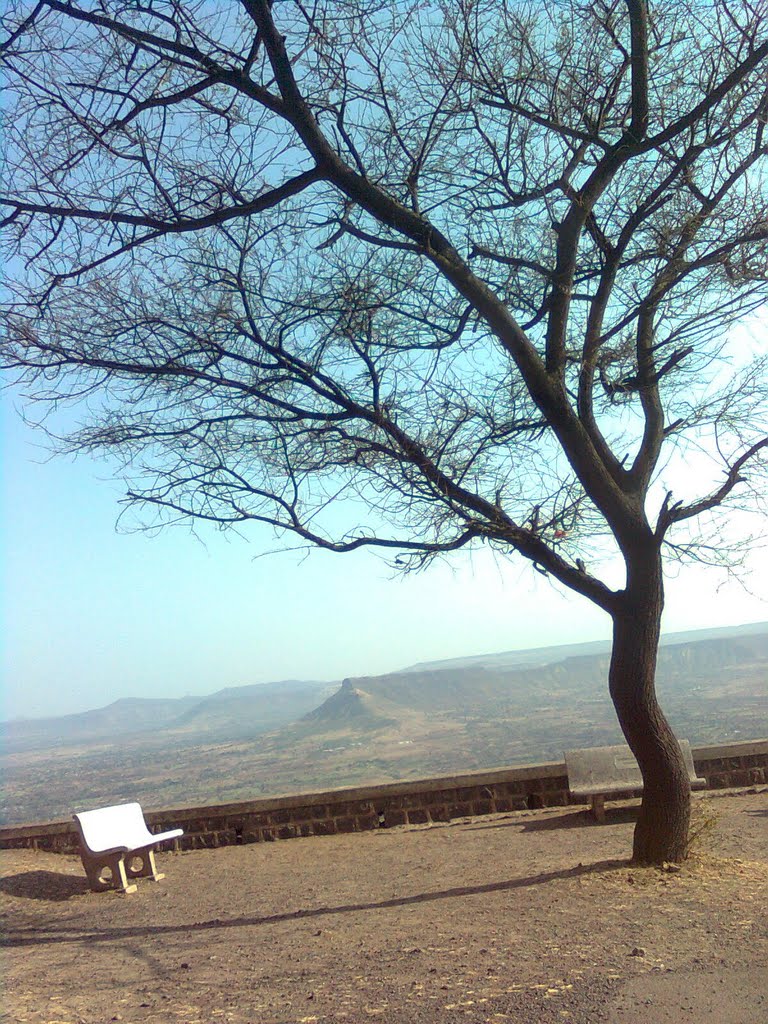 शुष्क वृक्ष. Dry tree at Ajinkyatara fort., Сатара