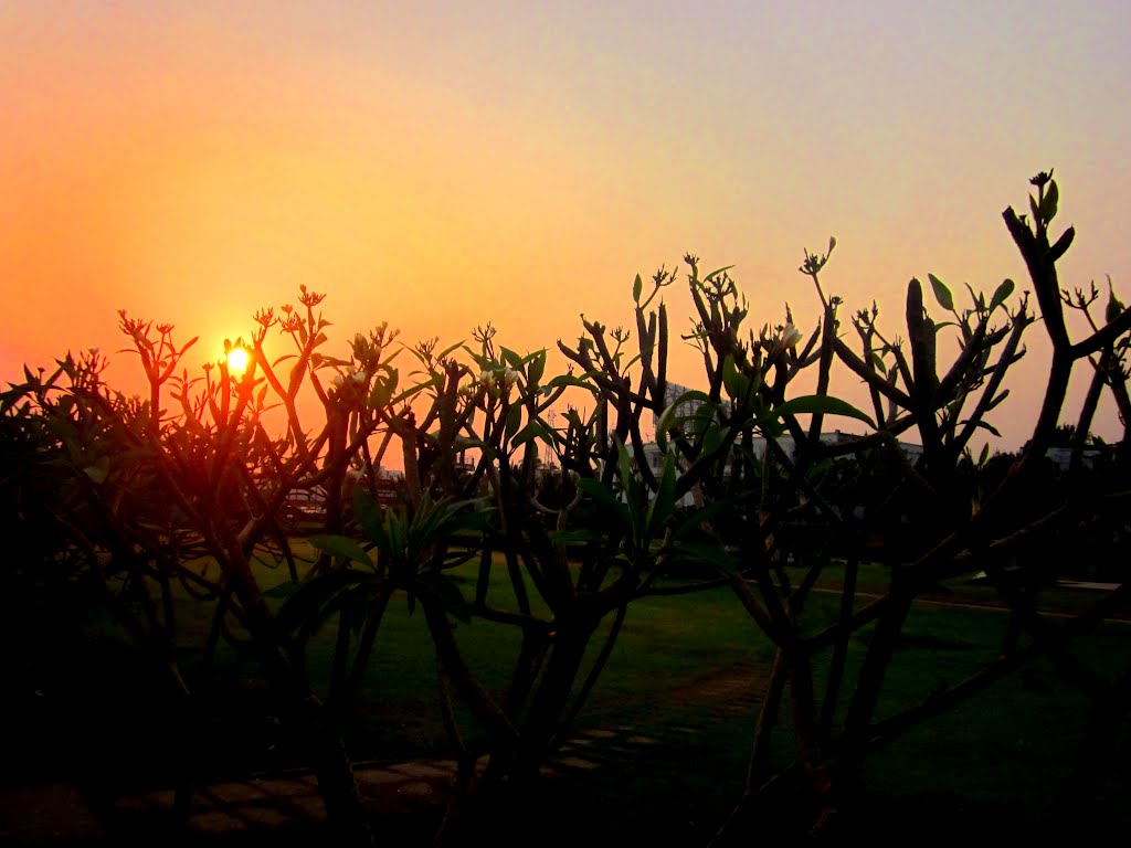 Sunset in puri, Пури