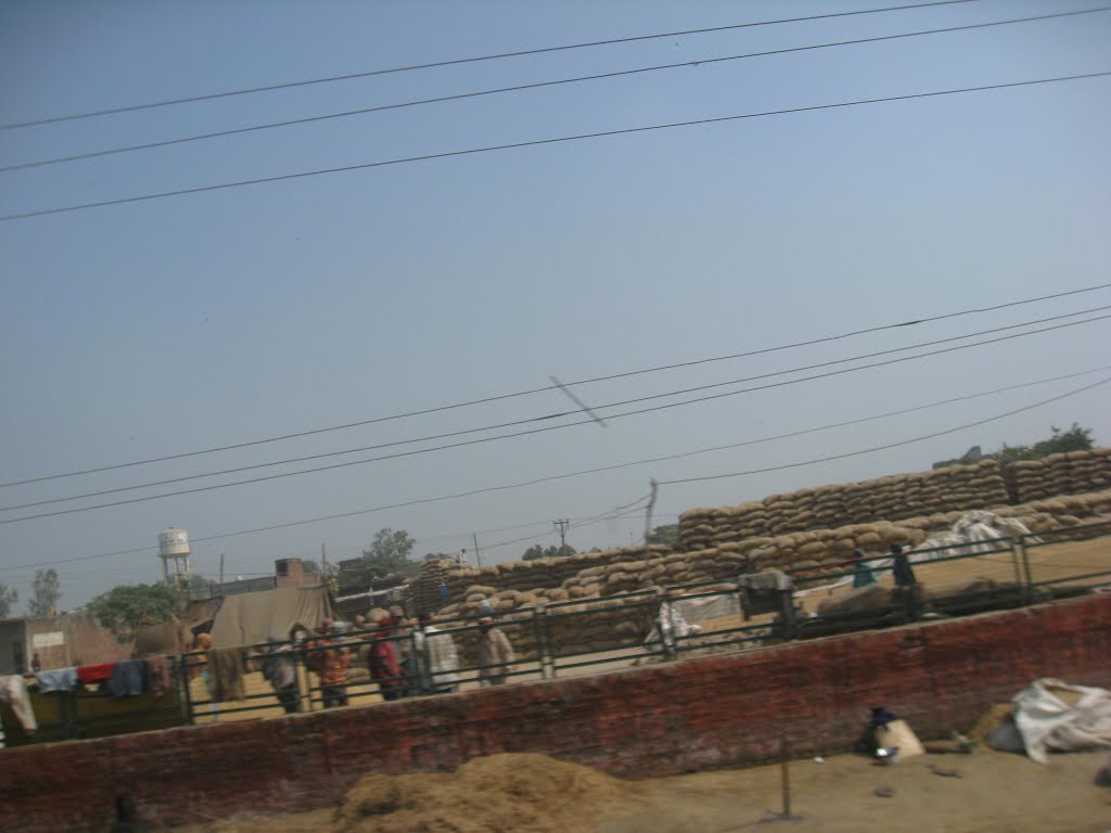 Grain Market, Batala, Gurdaspur District, Punjab, Батала
