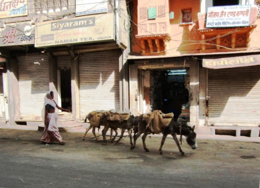 Udaipur. Here the camels are replaced by donkeys., Удаипур
