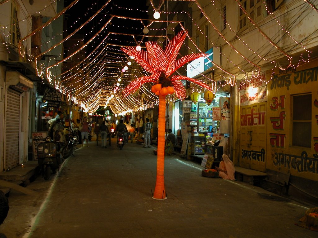 happy Diwali, Удаипур