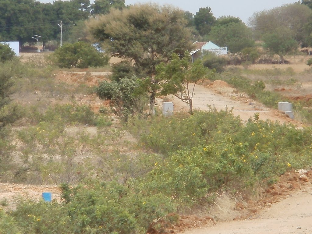 தொட்டிபட்டி( ரெத்தினம் அம்மாள் நிலத்திற்கு  வருவதற்கான பாதை (www.srisairamacademy.blogspot.com)), Аруппокоттаи