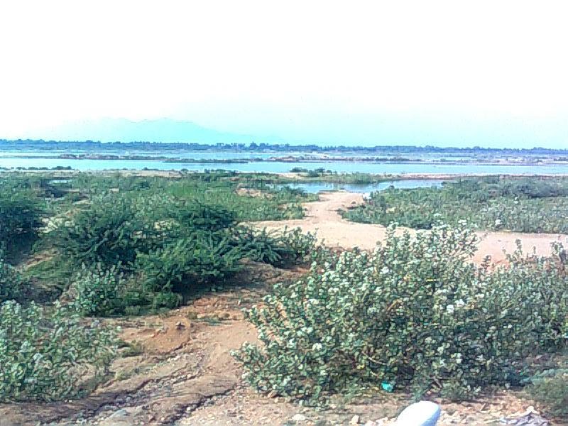 Kaveri river near Trichy, Ванииамбади