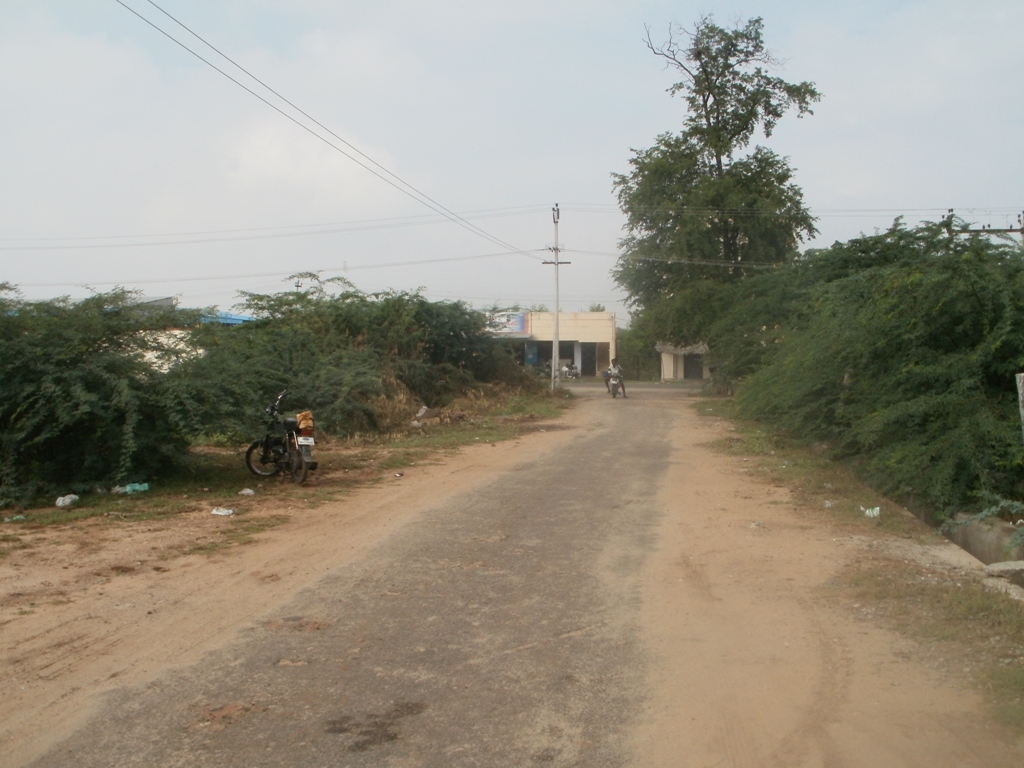 TRICHY TO KARUR ROAD VIEW, Карур