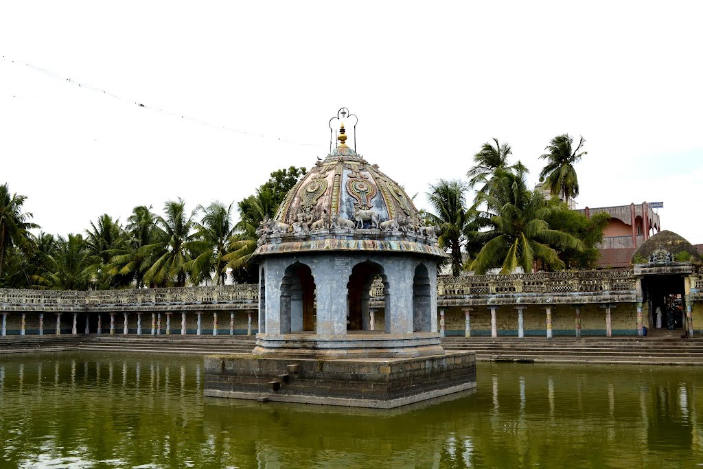 Temple Pond, Кумбаконам