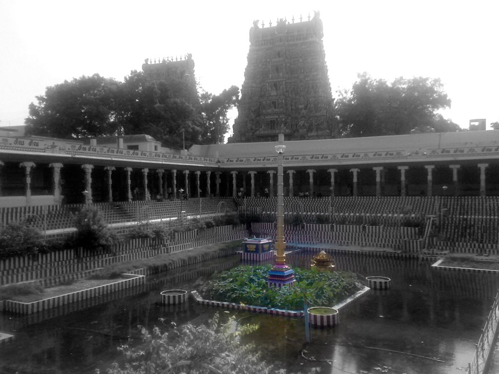 Golden Lotus Pond-Meenakshi Temple, Мадурай