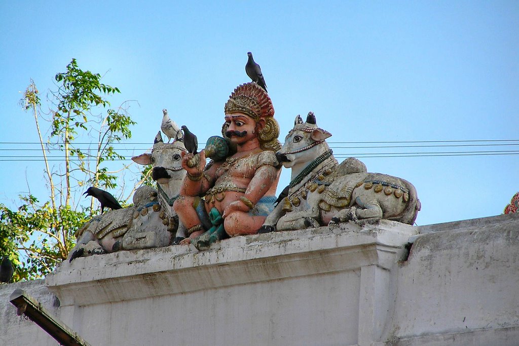 Sculpture (with birds) at the Meenakshi Temple, Madurai, Мадурай