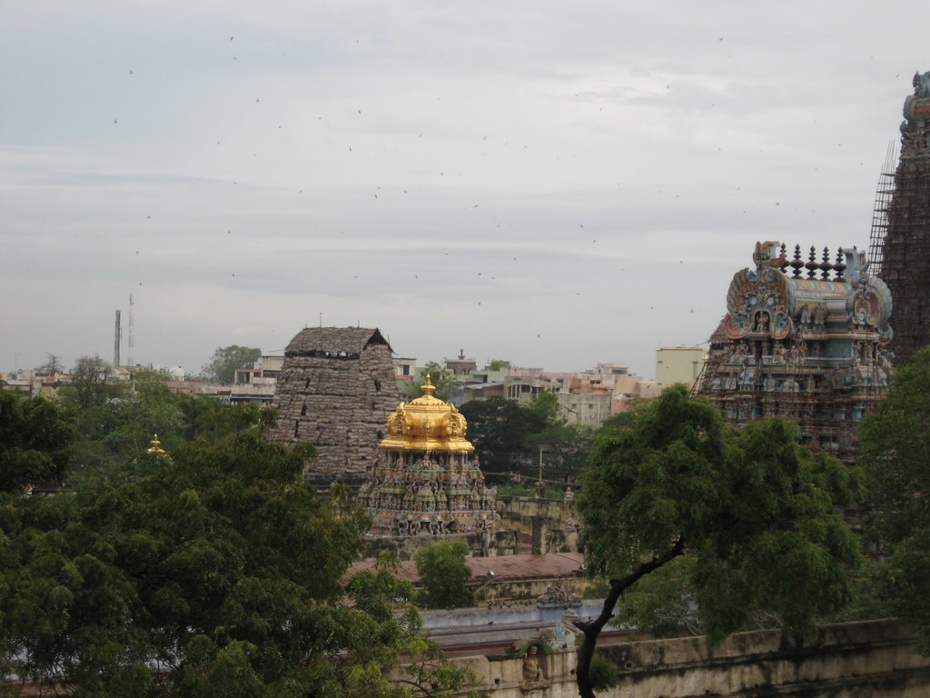 Sri Meenakshi Temple, Мадурай