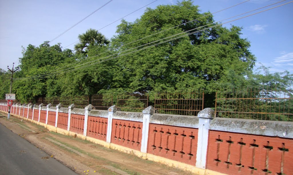 புதுக்கோட்டை near  Colls Office Compound Pudhukkottai  4451, Пудуккоттаи