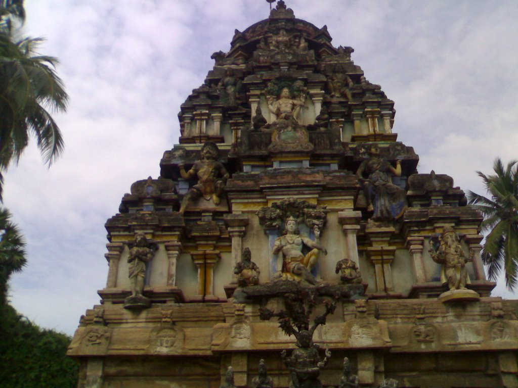 A Dilapidated Temple in TamilNadu, Раяпалаииам