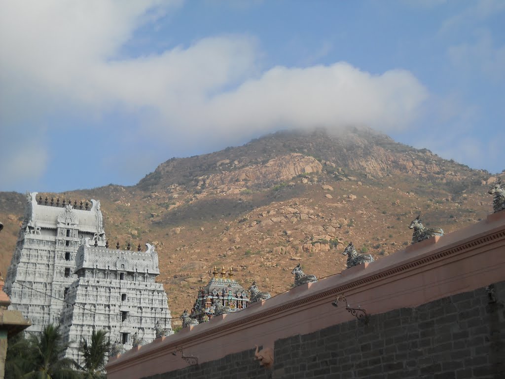 The Hill and The Temple Thiruvanamalai, Тируваннамалаи