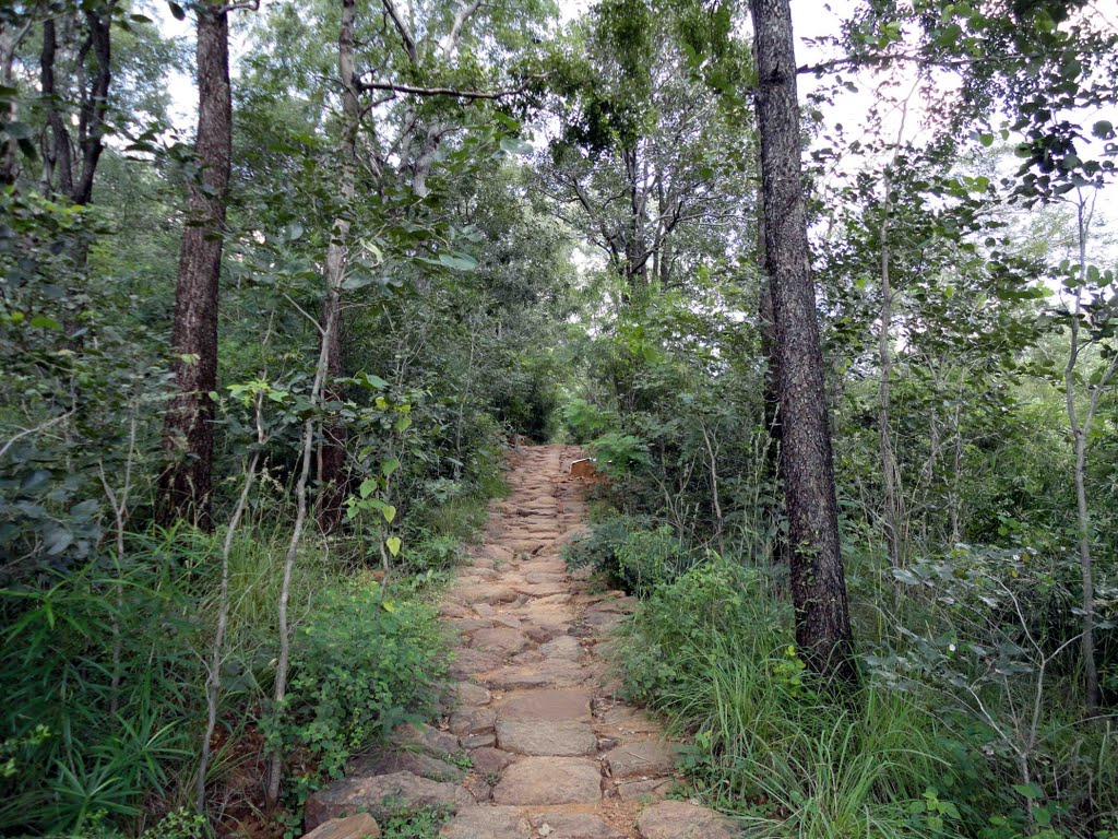 Way between Ramanashramam & Skandashramam, Тируваннамалаи