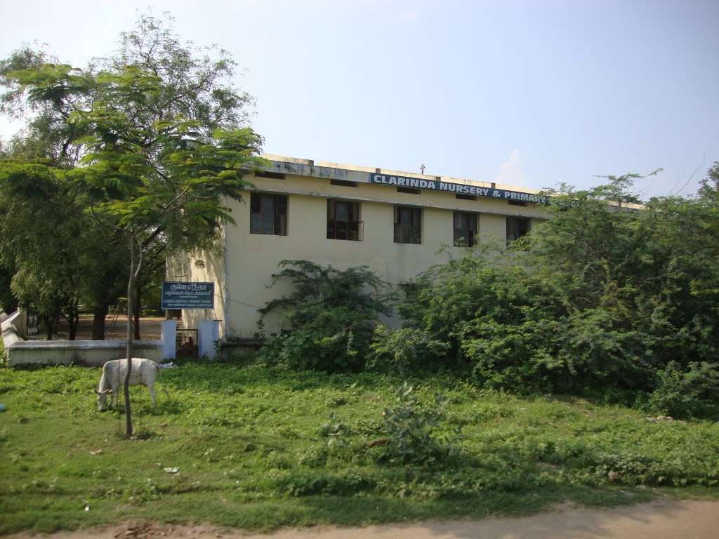 8688 குலோரிண்டா (க்ளாரிண்டா) நர்சரி மற்றும் ஆரம்ப பள்ளி Clarinda Nursery& Primary School, Тирунелвели