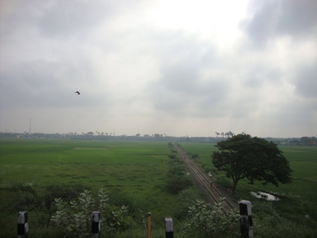 9092  ரயில் வழி திருநெல்வேலி  Rail line through paddy field of Thirunelveli  20111217  08.48.44, Тирунелвели