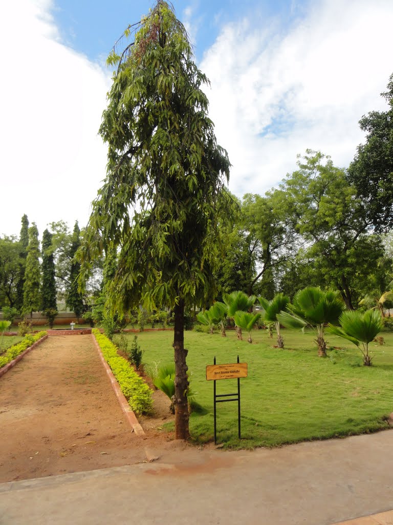 Tree Planted by Ms. Sonia Gandhi, Тируччираппалли