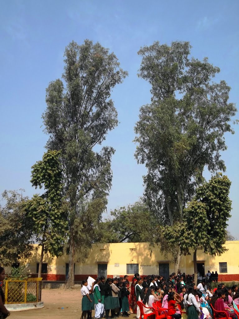 Chiranji LAl School, Алигар