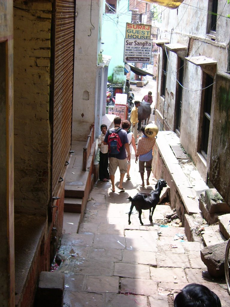 Streets of Varanasi, Варанаси