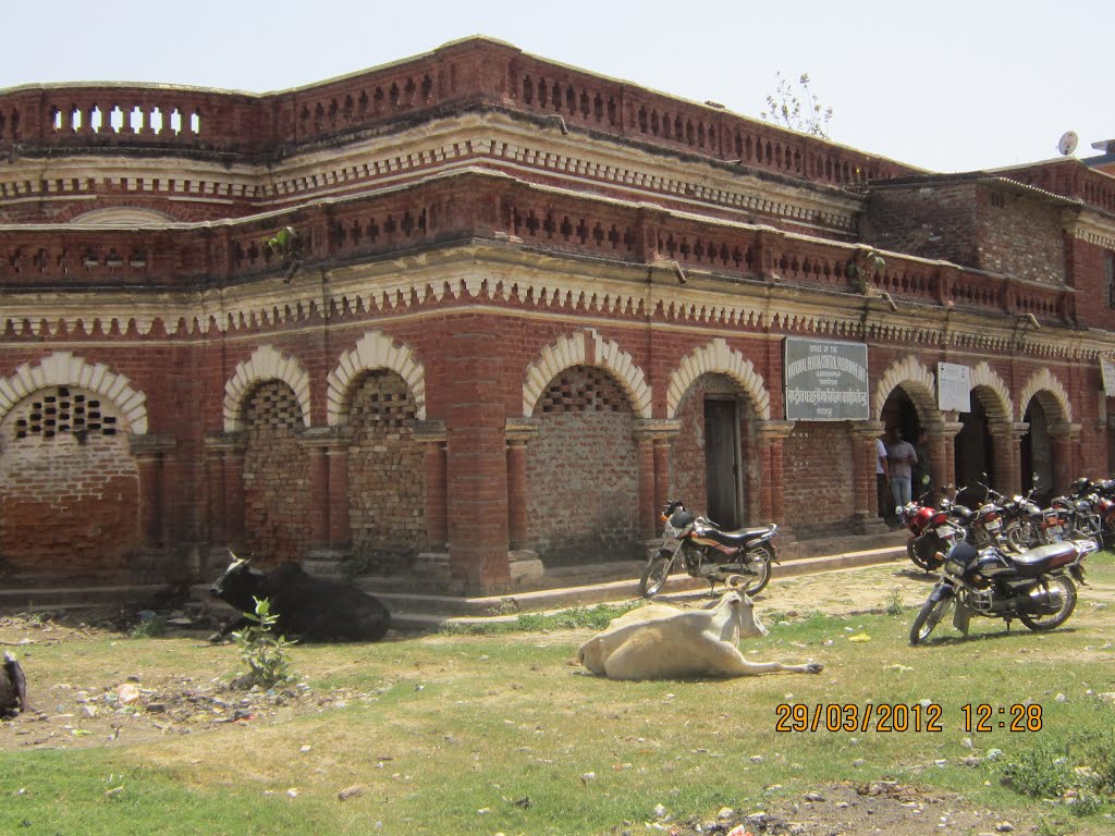 LAL KOTHI- Office of the National Filaria Control Program Center, Gorakhpur, Uttar Pradesh, India, Горакхпур