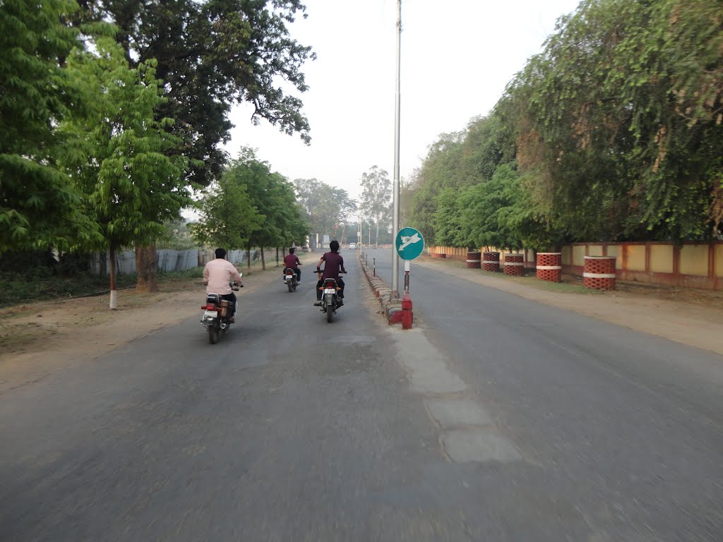 ROAD TOWARDS RAILWAY CROSSING, Kawwa Bagh Colony, Gorakhpur, Uttar Pradesh, India, Горакхпур