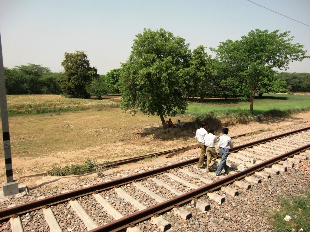 Rail walkers, Канпур