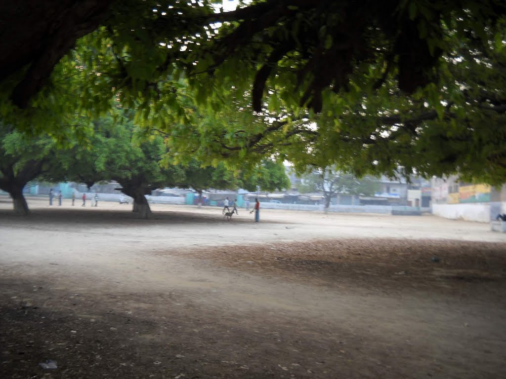Eidgarh Ground, Морадабад