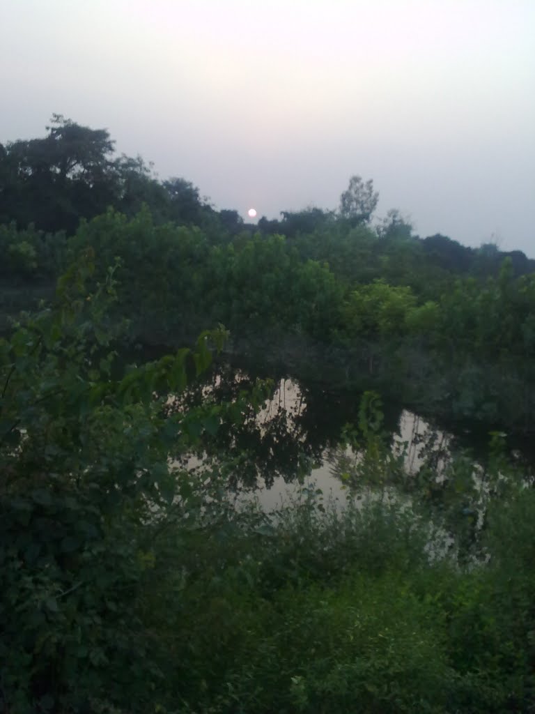 Green Rampur, Рампур