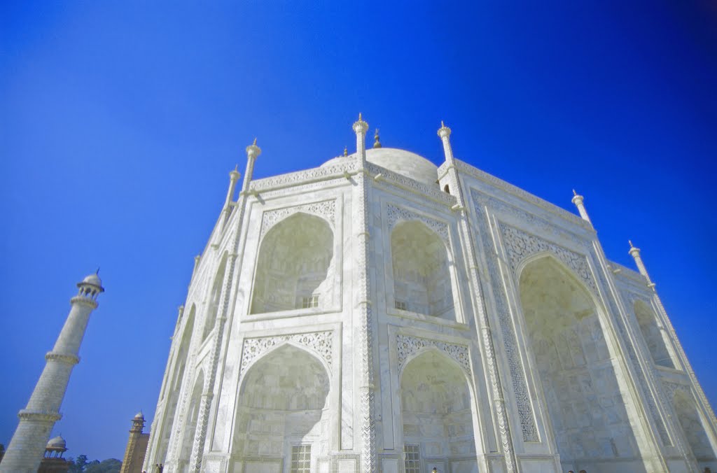 Taj Mahal Blue angle, Хатрас