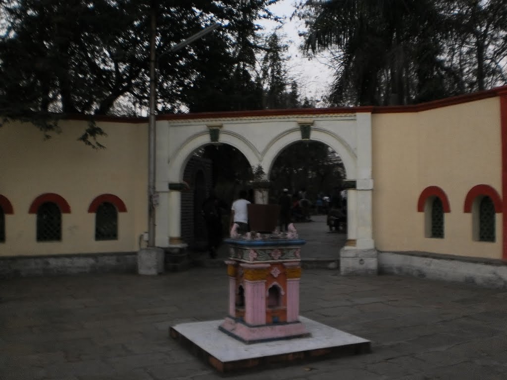 "Tulsi Vrindavan " in the courtyard ., Пуна