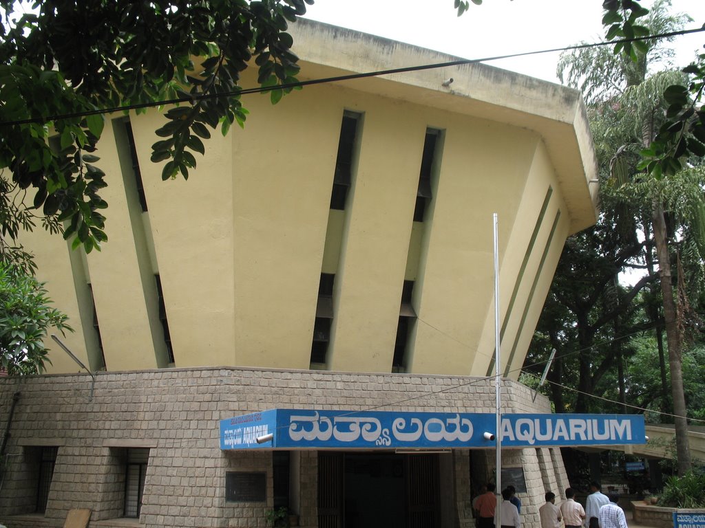The Karnataka State Government Aquarium, Bangalore, Бангалор