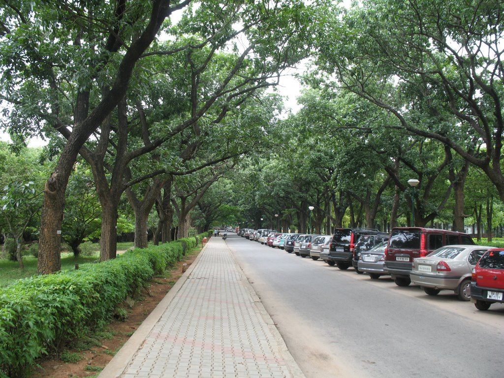 Walkthrough at the Cubbon Park, Bangalore, Бангалор