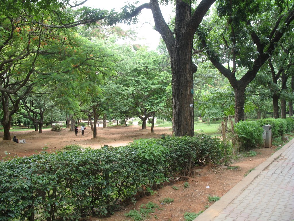 Walkthrough at the The Cubbon Park at Bangalore, Бангалор